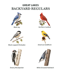 Load image into Gallery viewer, Great Lakes Backyard Regulars Birding T-Shirt | Comfort Colors®